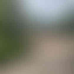 Chez Maurice Brussels Guinguette