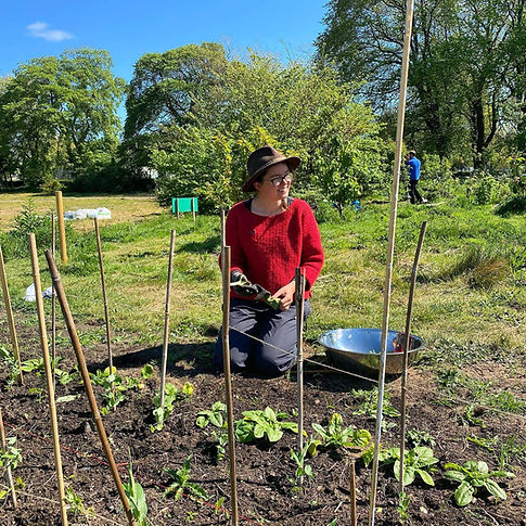 alice market garden.jpg