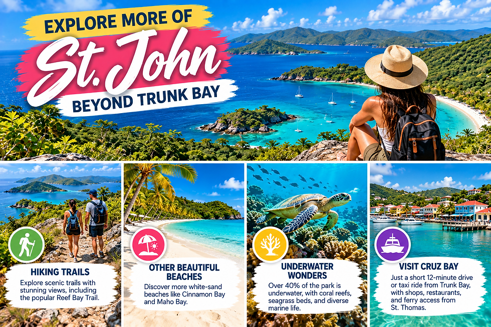 St. John travel infographic highlighting hiking trails, other white-sand beaches, underwater coral reefs and marine life, and Cruz Bay.