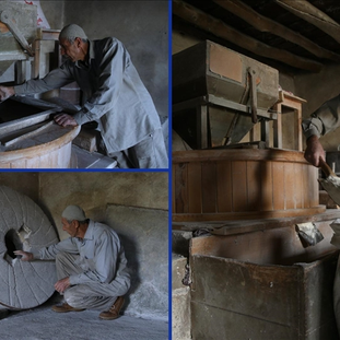 Atalarından miras kalan su değirmeninin çarklarını yarım asırdır döndürüyor