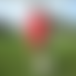 Enkazdan kurtarıldıktan sonra protezle ayağa kalkan Tuğba yeşil sahada moral buldu