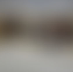 Kadın Girişimci Devlet Desteğiyle Siyah Pirince Katma Değer Kazandırdı