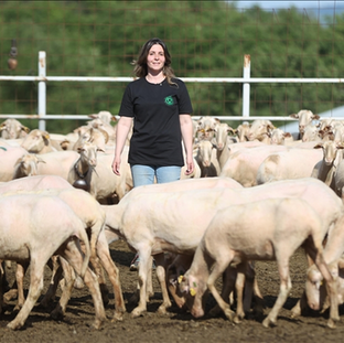 Babasından kalan sürüyü büyütmek için İstanbul'dan Kırklareli'ne taşındı