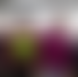 Köy okulunda eğitimi sınıflardan seralara, zeytin ve ceviz bahçelerine taşıdılar