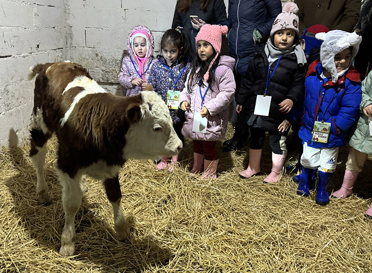 Ardahan'da anaokulu öğrencilerine hayvancılık ve tarım sahada öğretiliyor