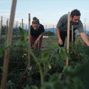 Düğün takılarıyla hobi bahçesi alan çift işlerini büyüterek üretim atölyesi kurdu