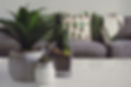 pexels-designecologist-1005058.jpg