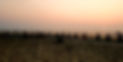 IMG-20190202-WA0006_edited.jpg