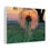 Thumbnail: Dandelion Sunset Canvas Print, Nature Wall Art, Home Decor, Gift for Nature Love