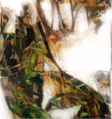 Babbling & Strewing Flowers
