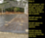 Termite Proofing Dos and Donts F