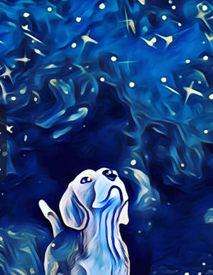 Blue 2 - Amelia.jpeg