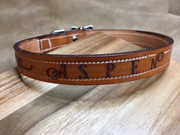 Dog Collars