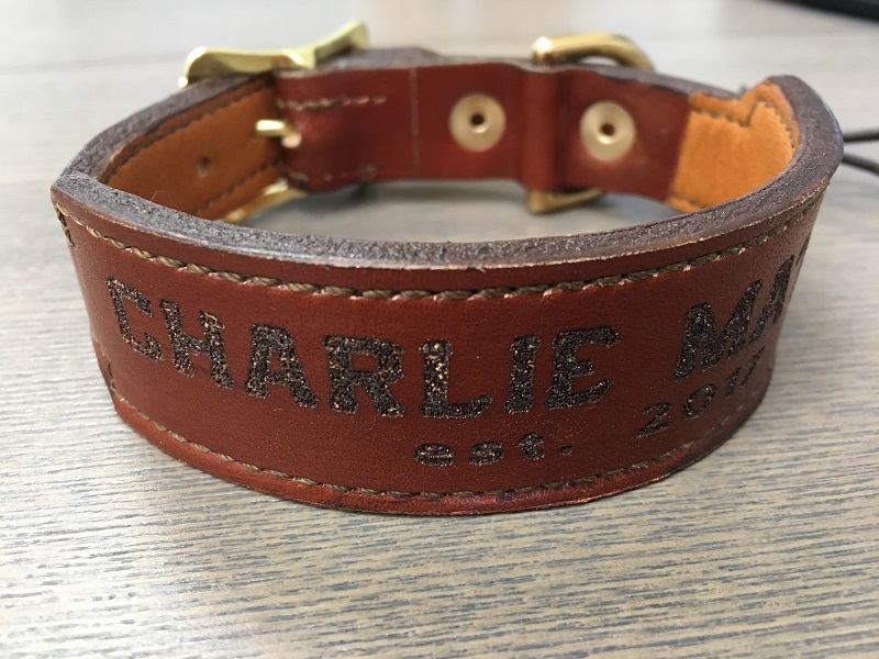 Dog Collars