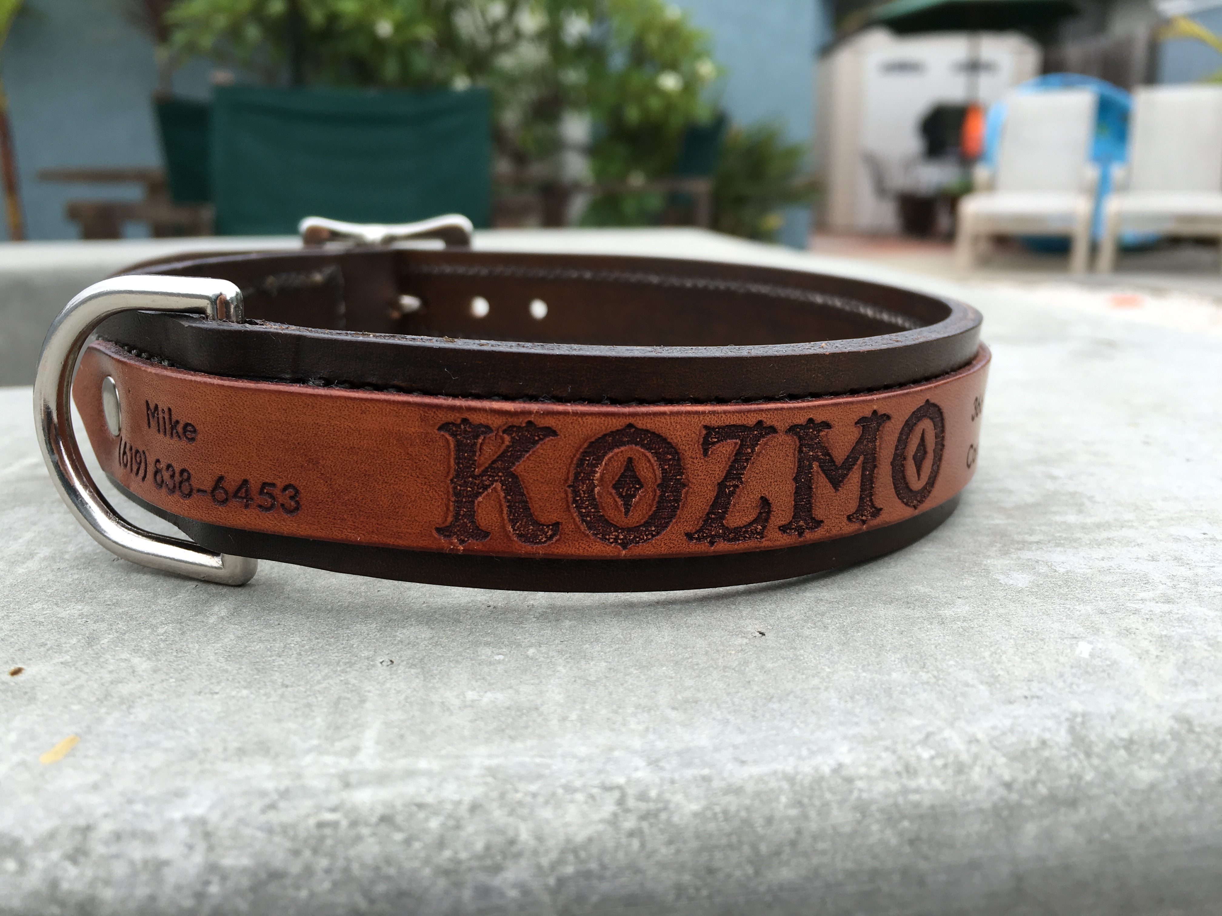 Dog Collars