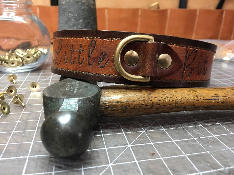 Dog Collars