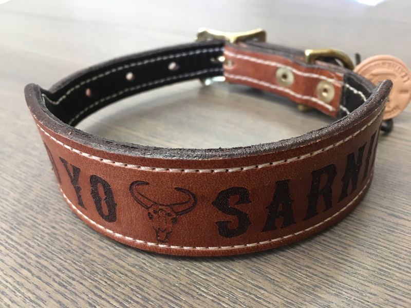 Dog Collars