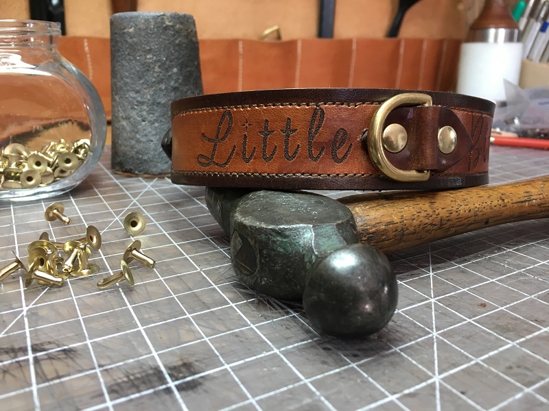 Dog Collars