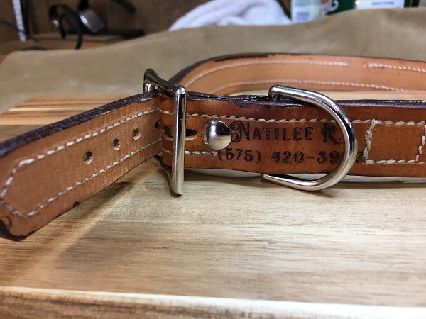 Dog Collars