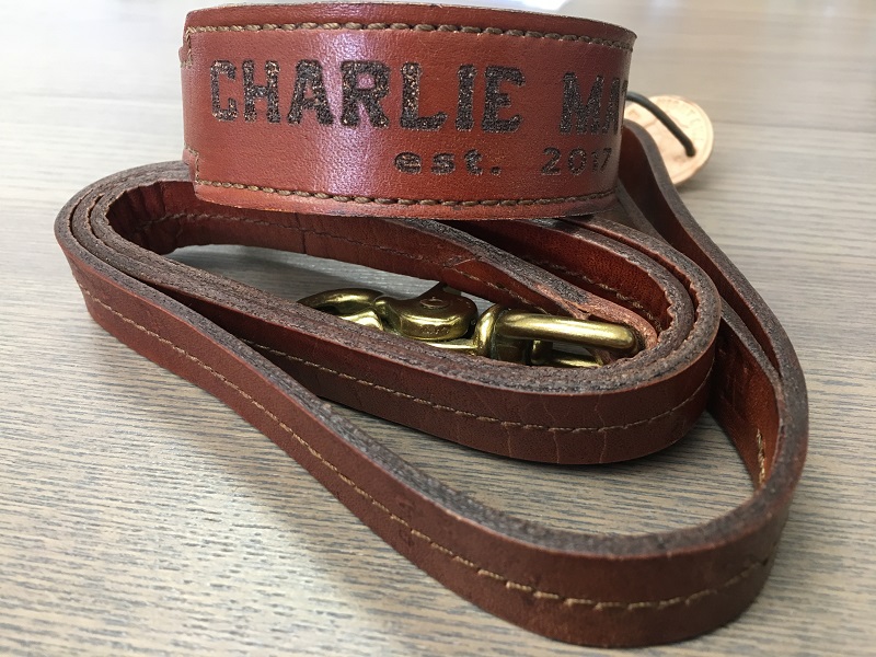 Dog Collars