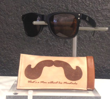 Eye Glass Case Corey