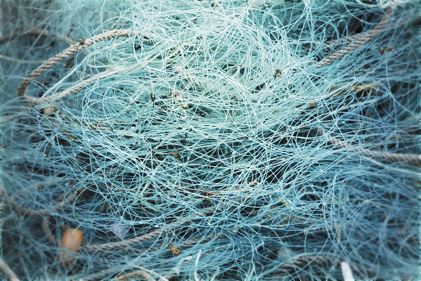 PÊCHE FILÉ CALÉ.jpg