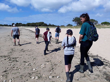 65069113_390198114951646_182794611706141