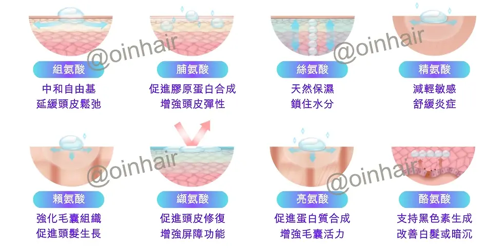 Illustrated skincare guide with eight sections, each showing different acids affecting skin texture. Text in the image describes benefits in Chinese.