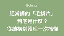 經常講的「毛鱗片」到底是什麼？從結構到護理一次搞懂