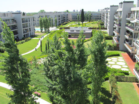 Al año de plantado.JPG