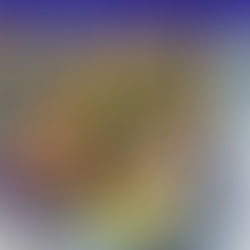 Peanut Chicken & Noodle Bowls