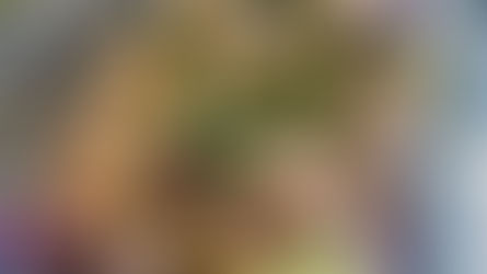 Peanut Chicken & Noodle Bowls