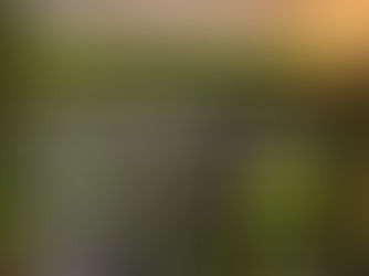 Leading the Way: 27.8% of Global CDR Deliveries in 2024