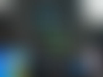 Exomad Green Surpasses 300,000 Delivered Carbon Removal Credits Certified by Puro.earth