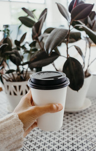 to go coffee in front of plants in pots