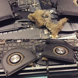 Без коментарів #macbook pro