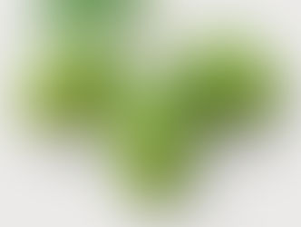 SOZO Meridium
NEW SCIENTIFIC BREAKTHROUGH
Increase Oxytocin Naturally