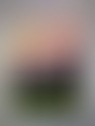 ¡Mira...Hello...les tengo tres chismes!