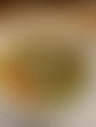 Échale un chin más de orégano