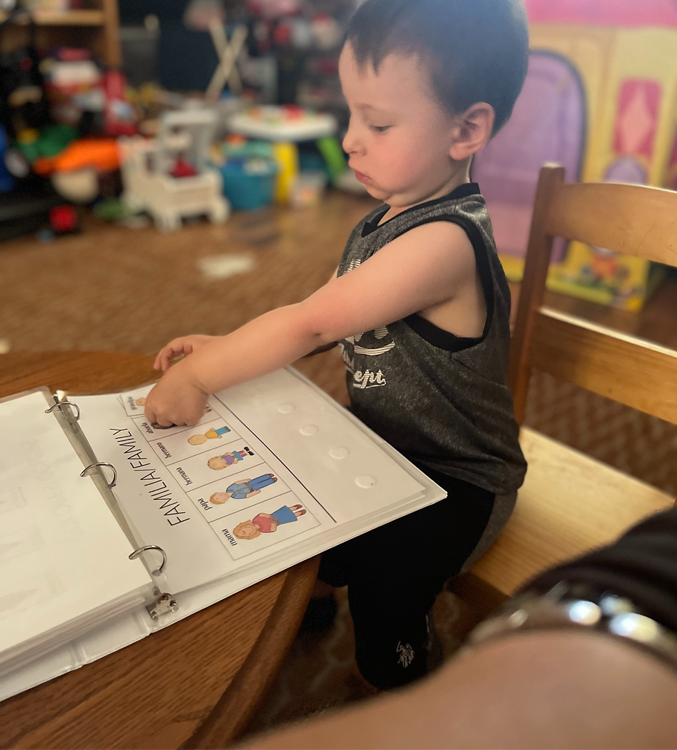 Tiktok Live Class: Preschool Learning Binder