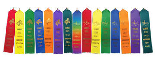 learning level ribbons.jpg