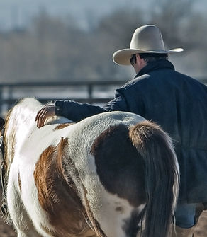 cowboy-horse-pony-western-53011_edited.j