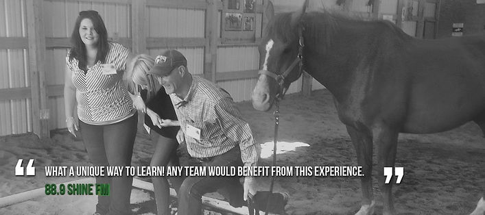 team building workshops