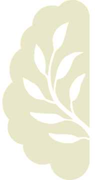 SAGE%252525252525252520LOGOwhite_edited_