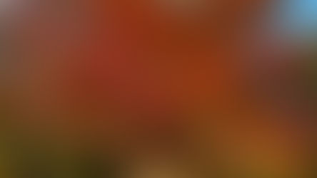 When the Clocks Go Back: How Shorter Days Can Impact Your Mood (and What You Can Do About It)