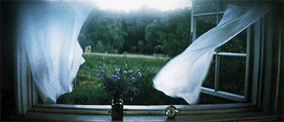 view with curtain blowing gif.gif