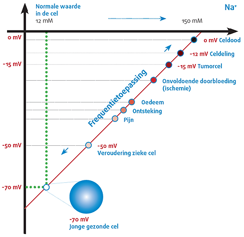 spanning-celmembraan (1).png