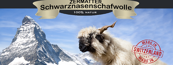 Zermatter Schwarznasenschafwolle