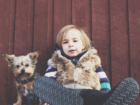 Top tips for toddler portraits