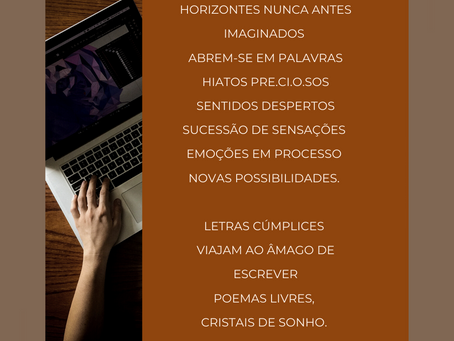 METALINGUAGEM NA POESIA - ANGÉLICA NOGUEIRA